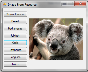 دانلود سورس کد نمایش عکس از فایل Resource در سی شارپ c#.net